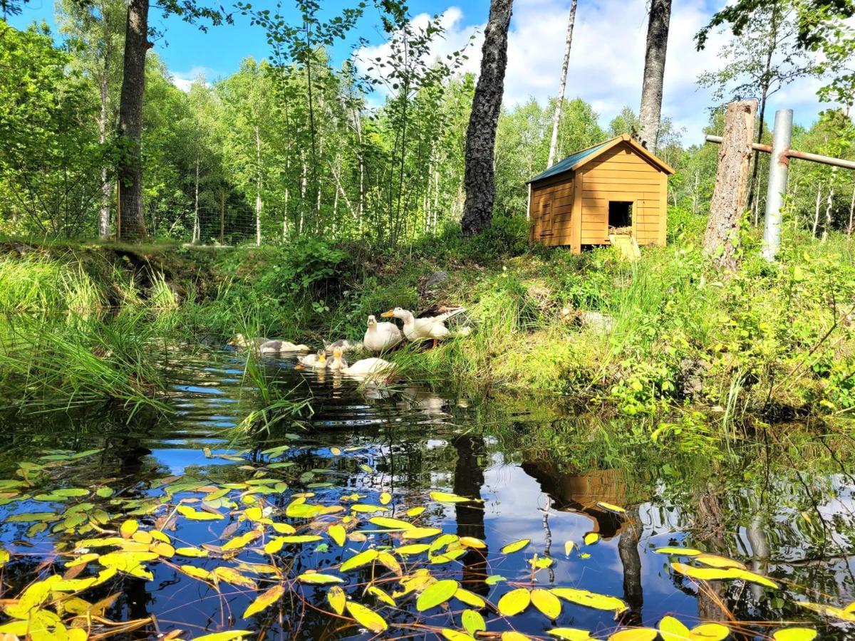Bergakungen Stugby Villa Osby  Екстериор снимка